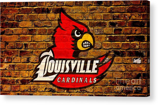 University of Louisville Cardinals Acrylic Print by Steven Parker