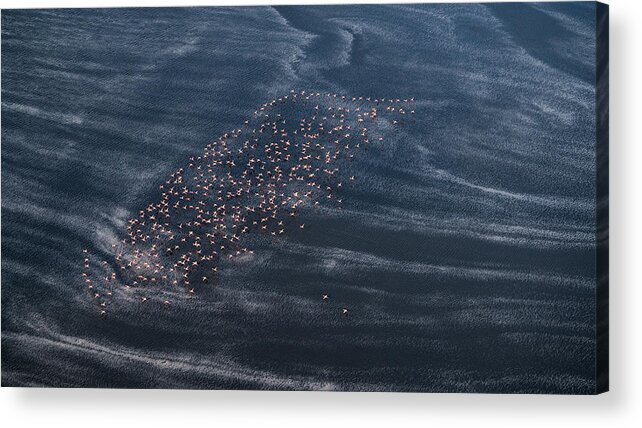 Kenya Acrylic Print featuring the photograph Wave Runner II by John Fan