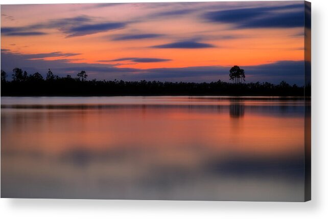 Florida Acrylic Print featuring the photograph Whimsy by Mike Lang