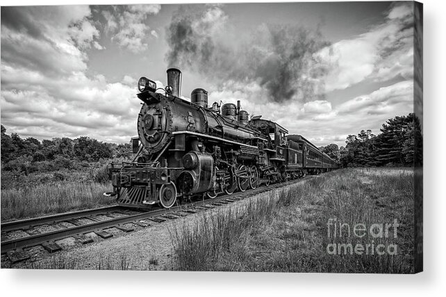 Valley Acrylic Print featuring the photograph Whistle Through The Meadow by Edward Fielding