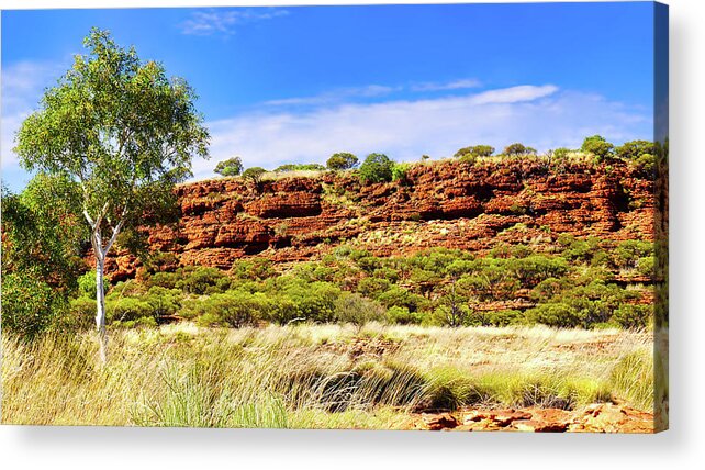 Raw And Untouched Acrylic Print featuring the photograph Natures Garden on Kings Canyon Rim #1 by Lexa Harpell