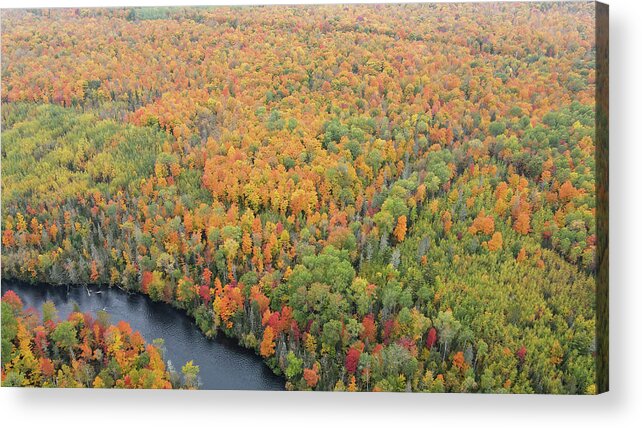 Autumn Acrylic Print featuring the photograph Pine River #5 by Brook Burling