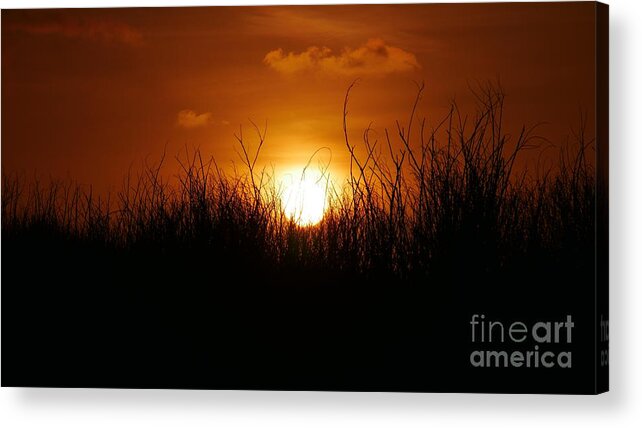 Amazing Sunsets Acrylic Print featuring the photograph Rolling Golden Ball by On da Raks