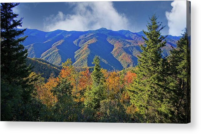 Autumn Acrylic Print featuring the photograph Amazing View to the Top by Ronald Lutz