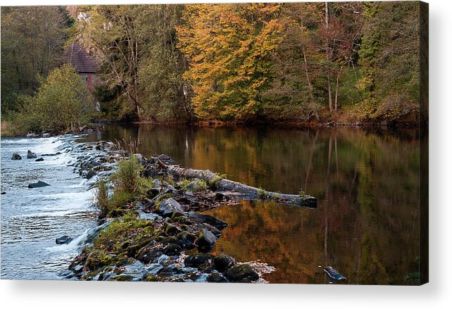 Autumn Acrylic Print featuring the photograph Automn trees reflection, La Sioule river by Jean-Luc Farges