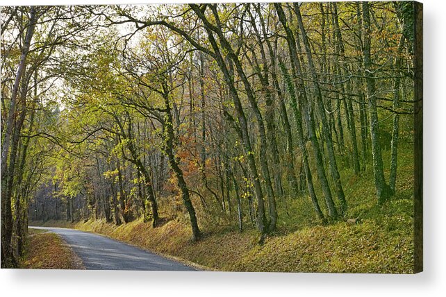 Landscape Acrylic Print featuring the photograph Autumn colors by Karine GADRE