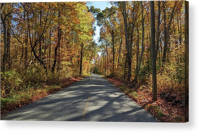 Autumn Acrylic Print featuring the photograph Autumn Road - North Stonington CT by Kirkodd Photography Of New England