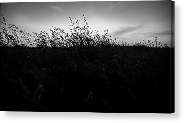 Sand Dunes Acrylic Print featuring the photograph Beachgrass Sunset Black and White by Pelo Blanco Photo