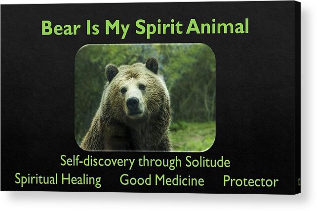 Bear Acrylic Print featuring the photograph Bear Is My Spirit Animal by Nancy Ayanna Wyatt