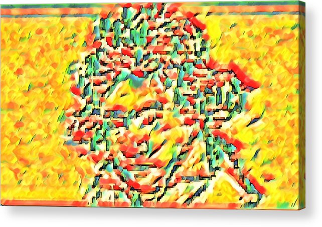  Acrylic Print featuring the mixed media Beethoven Delaware by Bencasso Barnesquiat