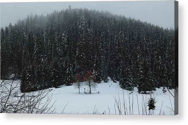 Blasiwald Acrylic Print featuring the photograph Blasiwald tranquility by Ioannis Konstas