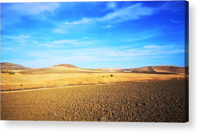 Arid Land Acrylic Print featuring the photograph Bright Side of the Moon by Jarek Filipowicz