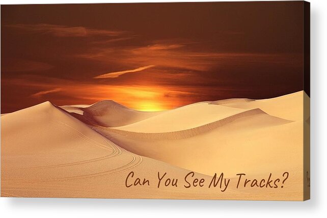 Sand Acrylic Print featuring the photograph Can You See My Tracks? by Nancy Ayanna Wyatt