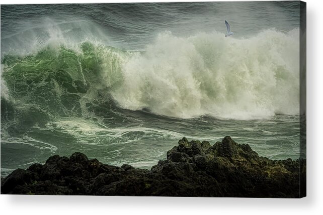 Coastallife Acrylic Print featuring the photograph Caught In Act by Bill Posner