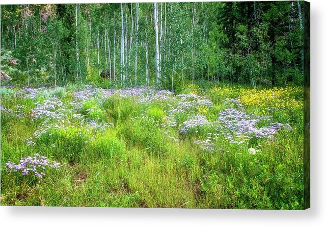 Trees Acrylic Print featuring the photograph Come on In by Elin Skov Vaeth