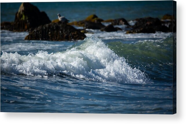 Seascape Acrylic Print featuring the photograph Comfy Wave Watching by Linda Bonaccorsi