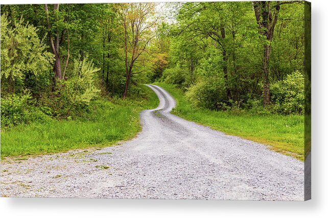 Road Acrylic Print featuring the photograph Country Road Shohola PA by Amelia Pearn