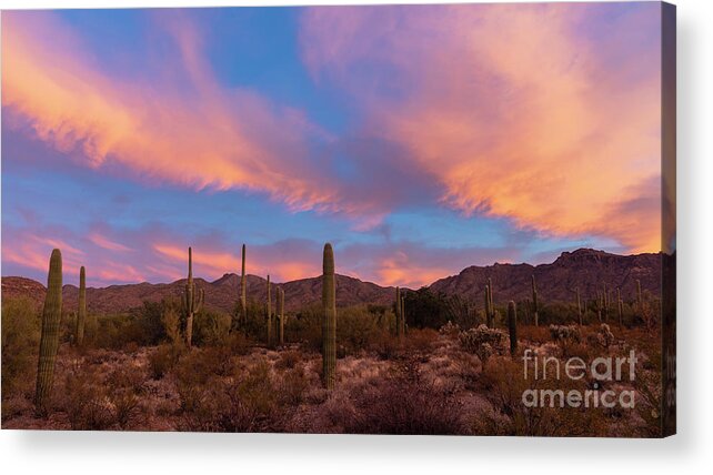 Landscape Acrylic Print featuring the photograph Desert Sunrise I by Seth Betterly