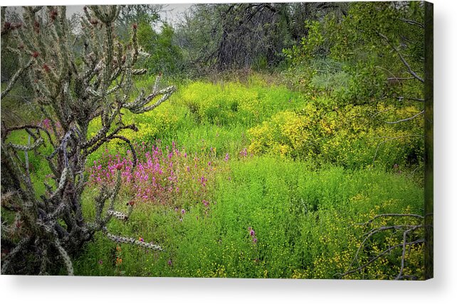 Desert Acrylic Print featuring the photograph Desert Wildflowers - Landscape by Gene Taylor