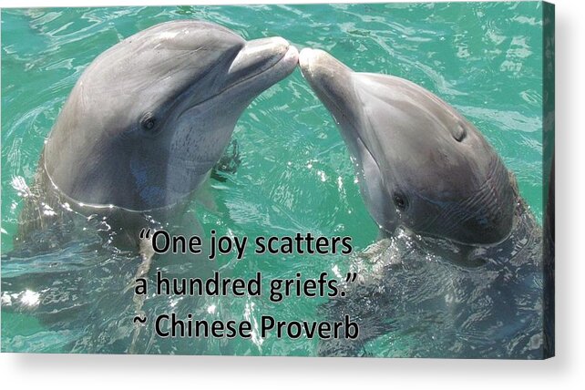 Dolphins Acrylic Print featuring the photograph Dolphins Bring Joy by Nancy Ayanna Wyatt