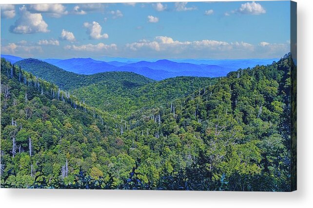 Landscape Acrylic Print featuring the photograph East Fork Landscape View by Allen Nice-Webb