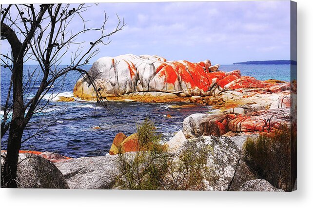 Tantalising Acrylic Print featuring the photograph Elephant Rock - Bay of Fires by Lexa Harpell