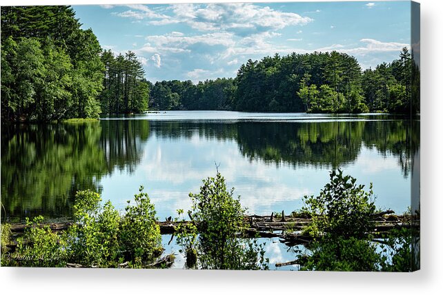 Landscape Acrylic Print featuring the photograph Field Pond by David Lee