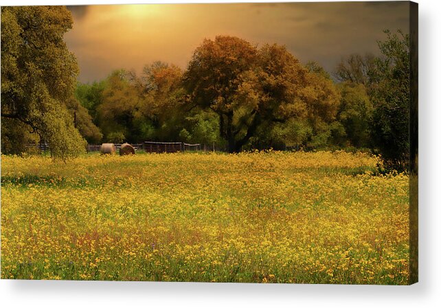 Sunset Acrylic Print featuring the digital art Fields of Gold by Stephen Anderson