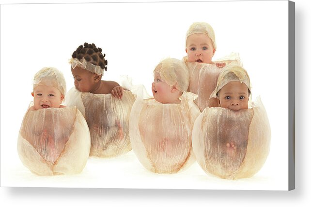 Baby Acrylic Print featuring the photograph Five Little Flower Bulbs by Anne Geddes