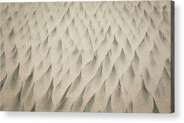 Sand Acrylic Print featuring the photograph Flames In The Sand by Gary Geddes