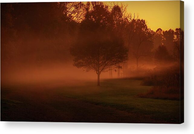 Fog Acrylic Print featuring the photograph Foggy Evening in the Parkway by Jason Fink