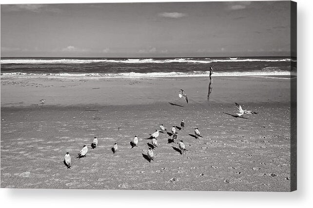 Girl Acrylic Print featuring the photograph Girl and Gulls by George Taylor