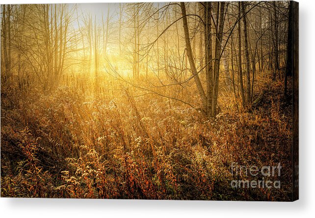 Sunrise Acrylic Print featuring the photograph Morning Glory #1 by Terry Hrynyk