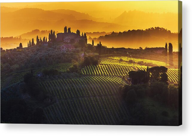 Italy Acrylic Print featuring the photograph Golden Tuscany by Evgeni Dinev
