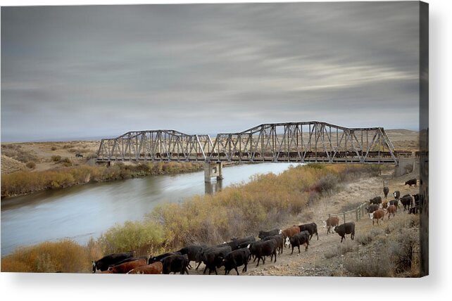 Government Bridge Acrylic Print featuring the photograph Goverment Bridge by Laura Terriere