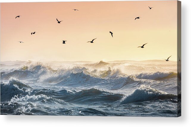 Beach Acrylic Print featuring the photograph Gulls Flying Over Waves Gulf Islands National Seashore Florida by Jordan Hill