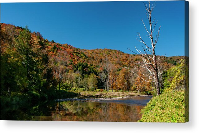 Autumn Acrylic Print featuring the photograph Hidden Pond by Cathy Kovarik