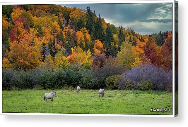 Animals Acrylic Print featuring the digital art Horses on an Autumn Day in Rural Cape Breton by Ken Morris