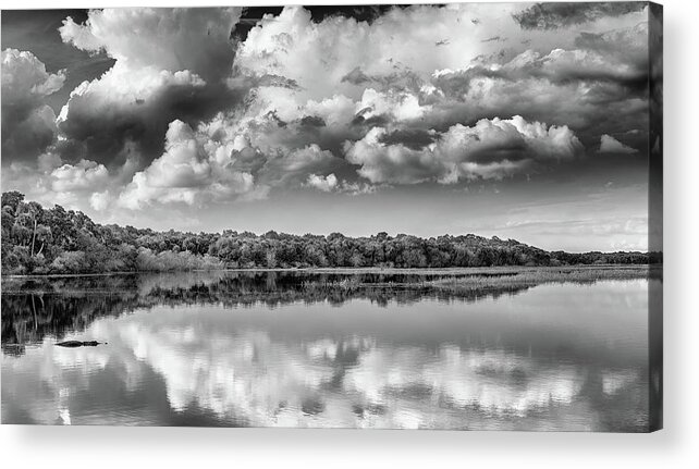 Black & White Acrylic Print featuring the photograph Lake Myakka by Rudy Wilms