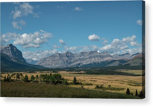 Landscape Acrylic Print featuring the photograph Landscape in the Alberta Rockies by Karen Rispin