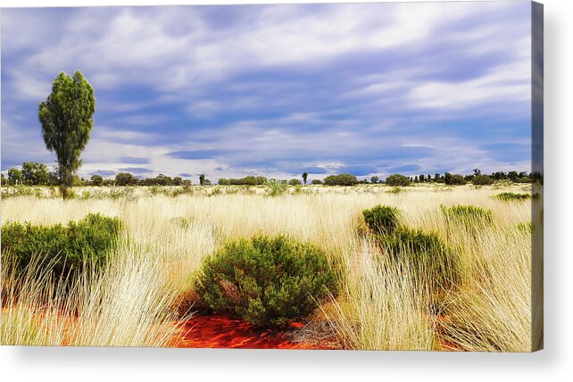 Central Australia Acrylic Print featuring the photograph Landscape of Central Australia by Lexa Harpell