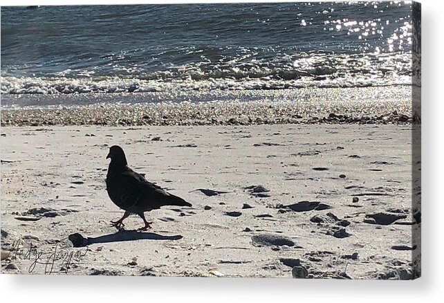 Pigeon Acrylic Print featuring the photograph Le Pigeon by Medge Jaspan