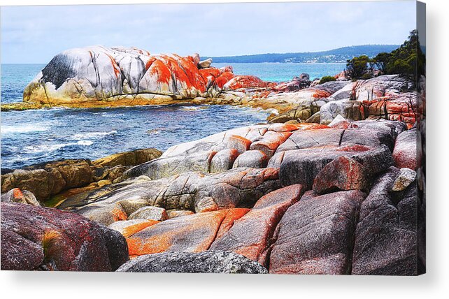 Tantalising Acrylic Print featuring the photograph Lichen Covered Rocks by Lexa Harpell