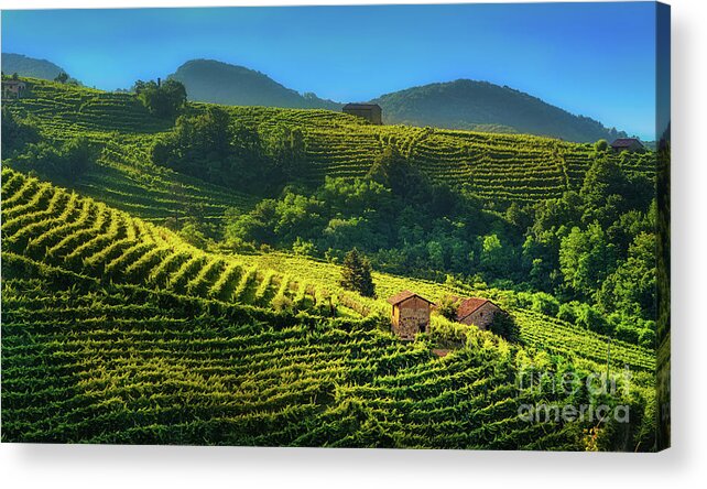 Prosecco Acrylic Print featuring the photograph Little houses in the vineyard by The P