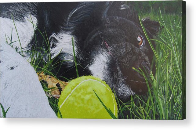 Dog Acrylic Print featuring the drawing Love for the Game by Kelly Speros
