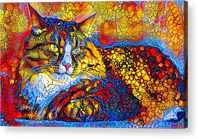 Maine Coon Acrylic Print featuring the digital art Maine Coon cat lying down - colorful bubble abstract art by Nicko Prints