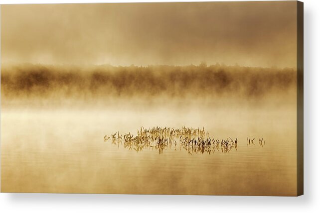 Fog Acrylic Print featuring the photograph Morning Mist 4154 by Greg Hartford