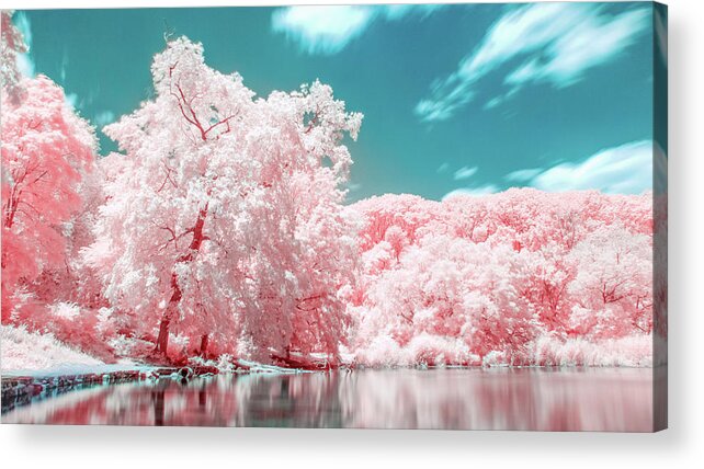 Infrared Acrylic Print featuring the photograph Otherworldly Park in Brooklyn by Auden Johnson