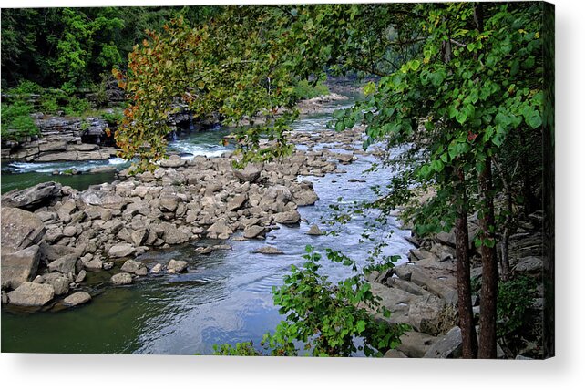Water Acrylic Print featuring the photograph Peaceful River by George Taylor