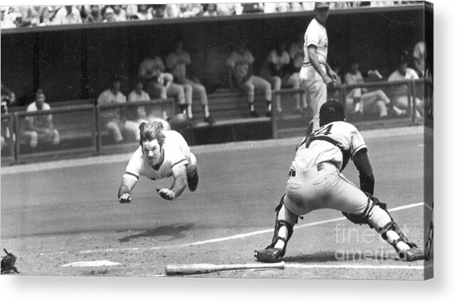 Pete Acrylic Print featuring the photograph Pete Rose by Action